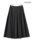 23区 L 【エステータ】クリスピーオーガンジー タック フレアスカート