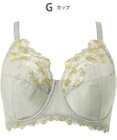 Wing ブラジャー Wing Lesiage 安定感のあるつけごこち 綿混素材(肌側) 【5010シリーズ】 フルカップブラ Hカップまで対応 大きいサイズ PB5010 ウイング／ワコール
