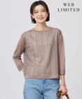 J.PRESS LADIES S 【WEB限定カラーあり・洗える】Vis/Peスパーク シアー ニット