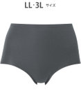 Wing ショーツ やさしい肌あたり ズレ上がりにくい しめつけにくい 【綿の贅沢 フラットショーツ】 はきこみ丈ふかめ 3Lまで対応 大きいサイズ EC3100 ウイング／ワコール