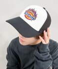 WEGO Dickies　DK　EX　FIRE　ICON　MESH　CAP