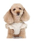 PET PARADISE ペットパラダイス ベストハーネス  《フリル》  4S 3S 超小型犬 小型犬