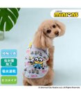 PET PARADISE ミニオン エコメイド タンクトップ 《アイス柄》 小型犬