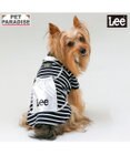 PET PARADISE Lee ナップサックＴシャツ シルバー 小型犬