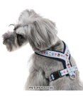 PET PARADISE 犬 ハーネス リサとガスパール 【３Ｓ】 アクティブハーネス ダイヤ柄