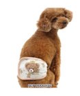 PET PARADISE ペットパラダイス 王冠くまちゃん マナーベルト  小型犬