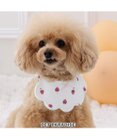 PET PARADISE ペットパラダイス  苺くるくるスタイ  小型犬