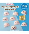 Mother garden しろたん フェイス マグネットコレクション 10個全部セット