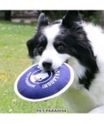 PET PARADISE ペットパラダイス 水に浮く フライングディスク