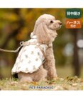 PET PARADISE ペットパラダイス くまちゃん アウターハーネス 小型犬