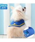PET PARADISE ディズニー ドナルド クール バンダナ  《セーラー》 小型犬