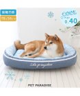 PET PARADISE ペットパラダイス クールカドラー  角型《マリン柄》 中型犬 大型犬