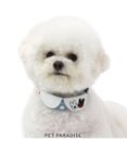 PET PARADISE リサとガスパール  襟付き首輪  《であい柄》ＳＳ 小型犬
