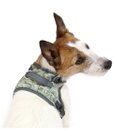 PET PARADISE ペットパラダイス やさしい ハーネス 迷彩 ３Ｓ 〔小型犬〕