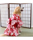 PET PARADISE ペットパラダイス 着物 《 牡丹桜柄 》 中型犬 大型犬
