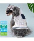 PET PARADISE ペットパラダイス エコメッシュ 襟付き タンクトップ 小型犬