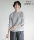 J.PRESS LADIES L 【WEB限定カラーあり・洗える】EIGER CORD ALAN クルーネックプルオーバー ニット