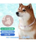 PET PARADISE ペットパラダイス 28℃クールリング  《くま》 Ｍ 大型犬