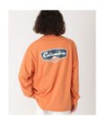 Columbia Columbia/ サンダーマウンテングラフィックロングスリーブTシャツ /コロンビア