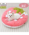 PET PARADISE ネット店限定 ペットパラダイス 春いちご クッション  M