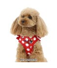 PET PARADISE ディズニー ミニーマウス ベストハーネス 《水玉柄》 【ＳＳ】   小型犬