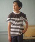 J.PRESS KIDS 【140-170cm】パネルボーダーハウスロゴ Ｔシャツ