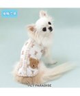 PET PARADISE ペットパラダイス くまちゃん 接触冷感 背中開き タンクトップ 小型犬
