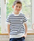 J.PRESS KIDS 【140-170cm】J.半袖ボーダーＴシャツ