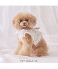 PET PARADISE cherircouture フリフリハーネス 《ホワイト》 小型犬 ４Ｓ/３Ｓ