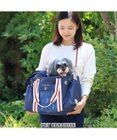 PET PARADISE リサとガスパール キャリーバッグ  であい柄 小型犬