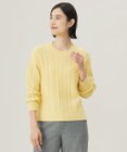 J.PRESS LADIES L 【WEB限定カラーあり・洗える】EIGER CORD ALAN クルーネックプルオーバー ニット