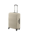 ACE BAGS & LUGGAGE Proteca トリアクシス3 スーツケース 72L 02493 プロテカ
