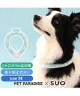 PET PARADISE ペットパラダイス 28℃クールリング SUO 《くま柄》 〔Ｍ〕 中型犬