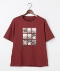 JOSEPH ABBOUD MOUNTAIN 【秋カラー/JAPANファブリック/吸水速乾】プレーティング天竺  アウトドアフォト Tシャツ