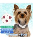 PET PARADISE ペットパラダイス 28℃クールリング 《いちご》 ３Ｓ 小型犬