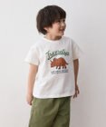 ANY KIDS 恐竜プリント 半袖 Tシャツ
