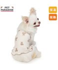 PET PARADISE ペットパラダイス くまちゃん ペティヒート 天竺 腹巻 小型犬
