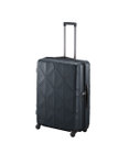 ACE BAGS & LUGGAGE Proteca コーリー2  96L 01484 プロテカ 日本製