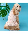 PET PARADISE ペットパラダイス タッチワンクールプラス Tシャツ 《いちご》 中型犬 大型犬