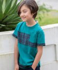 J.PRESS KIDS 【140-170cm】マドラスＴシャツ