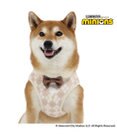 PET PARADISE ミニオン ティム ベストハーネス 《アーガイル》  中型犬 SM