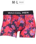 WACOAL MEN ボクサーパンツ 【DREAMS COME TRUE 35th Anniversaryコラボ】 メンズ 下着 【気持ちいいパンツ】 ズレにくい 前閉じ 通気性 吸汗速乾性 抗菌防臭 ドリカム フリーカッティング(裾部分) WT3422 /ワコールメン