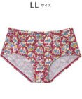 tsumori chisato SLEEP ツモリチサト ショーツ ベア天竺素材(身生地) レディース UPX564 /ワコール