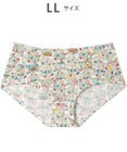 tsumori chisato SLEEP ツモリチサト ショーツ ベア天竺素材(身生地) レディース UPX564 /ワコール