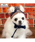 PET PARADISE ペットパラダイス ボンボン付き 男の子 ニット帽子 小型犬 ４Ｓ～３Ｓ/ＳＳ～Ｓ