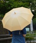 槇田商店 菜-sai- とうもろこし　日傘