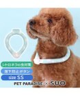 PET PARADISE ペットパラダイス 28℃クールリング SUO 《くま柄》 〔ＳＳ〕 小型犬