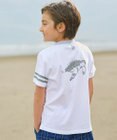 J.PRESS KIDS 【140-170㎝】バックプリントＴシャツ