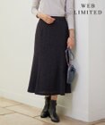 J.PRESS LADIES L 【WEB限定・洗える】フェミニッシュパウダー dots スカート