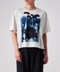 Paul Smith Field Flowers 半袖Tシャツ